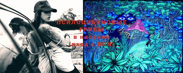 не бодяженный Корсаков
