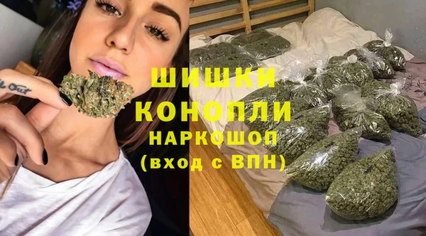 apvp Костерёво