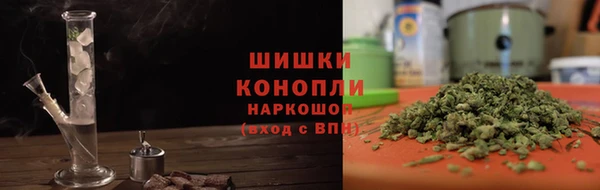 apvp Костерёво