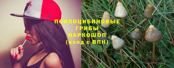 не бодяженный Корсаков