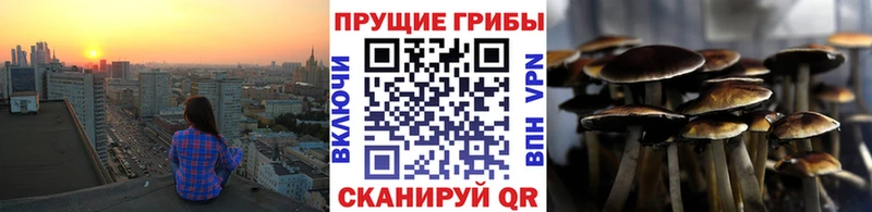 Псилоцибиновые грибы Magic Shrooms  Купить  Батайск 